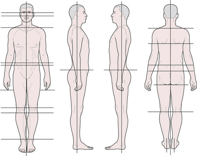 Postural Analysis Grid Chart