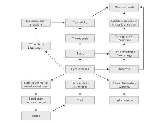 Glycemic Control During Acute Cerebral Injury | Neupsy Key