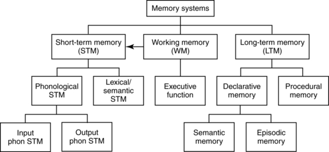 memory-disorders-and-impaired-language-and-communication-neupsy-key