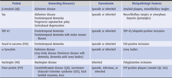 amnesia vs dementia