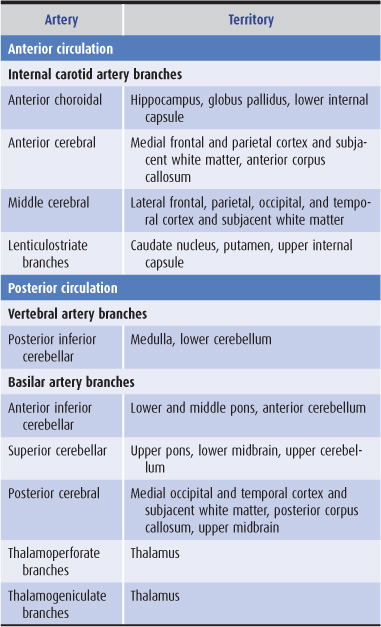 posterior inferior cerebellar artery stroke