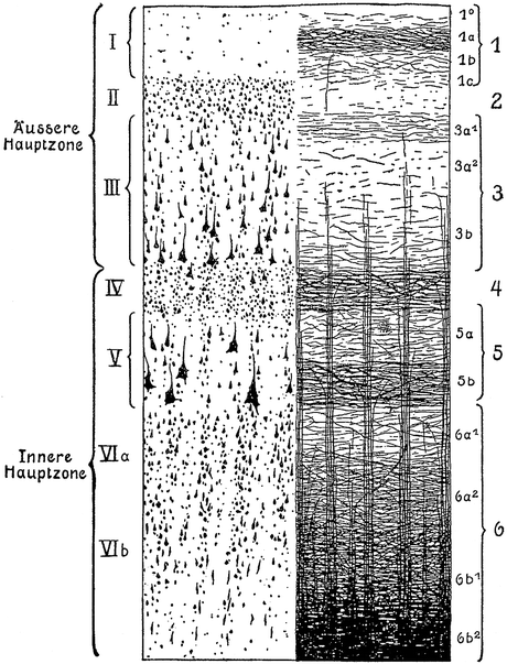 A270652_1_En_3_Fig3_HTML.gif