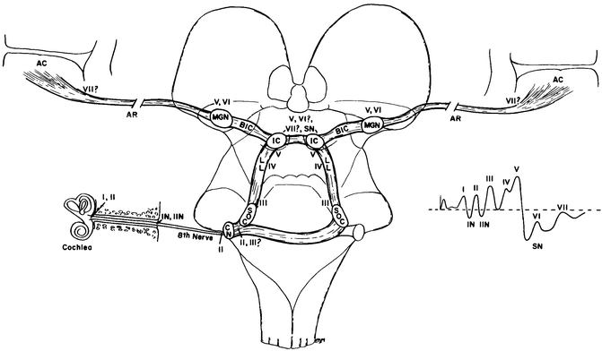 A310119_1_En_9_Fig2_HTML.gif