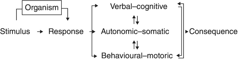 c2-fig-0001