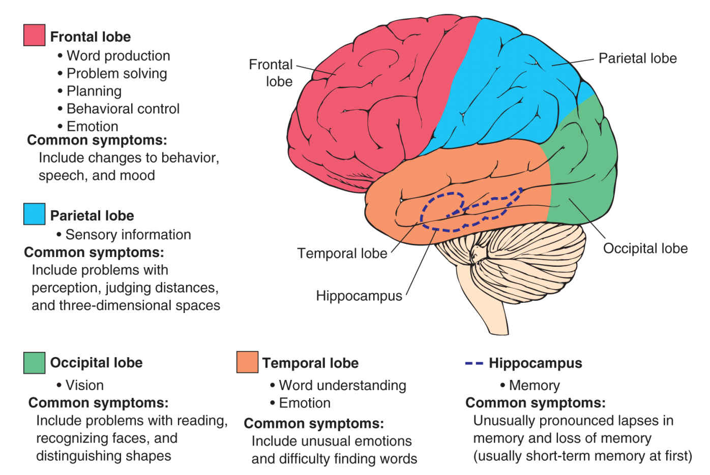 How Is The Brain Affected By Social Media