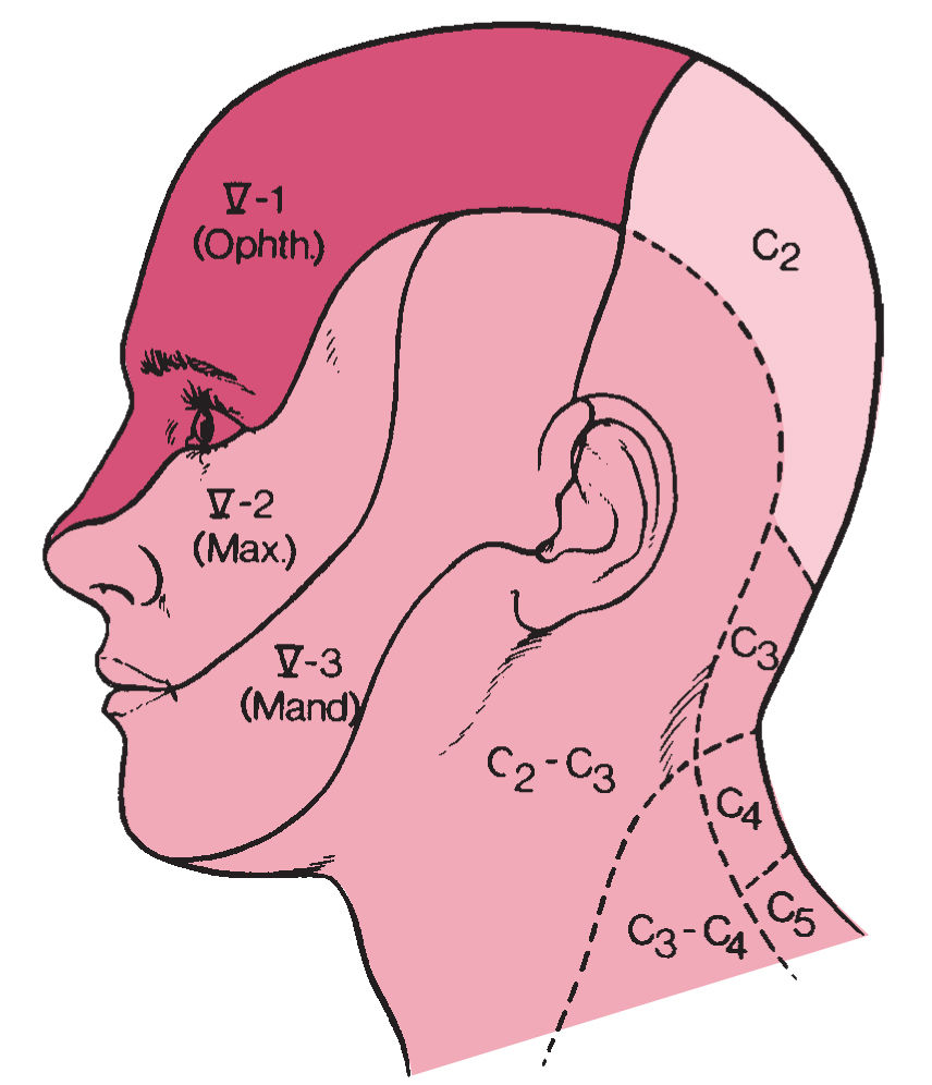 decreased-sensation-in-parts-of-the-face-or-head-pictures