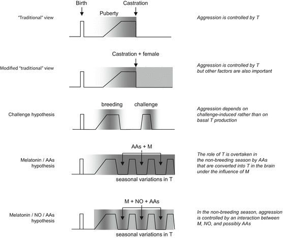 A303966_1_En_2_Fig3_HTML.gif