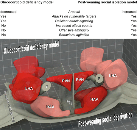 A303966_1_En_4_Fig3_HTML.gif