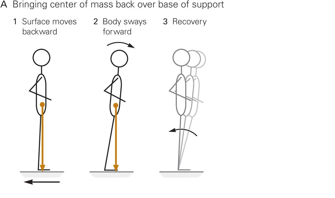 Posture | Neupsy Key