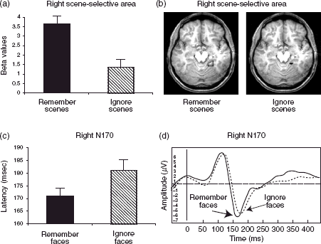 Top-down Modulation In Visual Working Memory | Neupsy Key