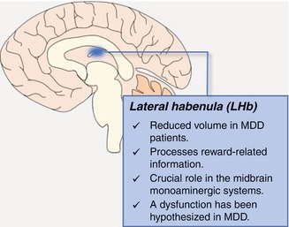 Deep Brain Stimulation: A Promising Therapeutic Approach To The ...