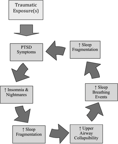 Sleep-Disordered Breathing And Posttraumatic Stress Disorder | Neupsy Key