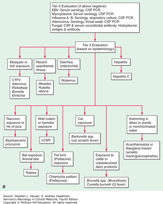 MENINGITIS, ENCEPHALITIS, BRAIN ABSCESS, AND EMPYEMA | Neupsy Key