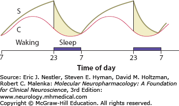 Sleep And Arousal | Neupsy Key