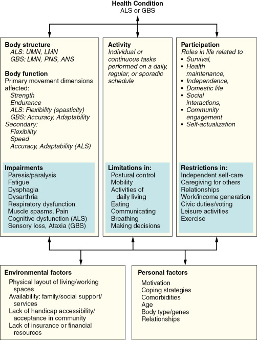 Neuromuscular Diseases | Neupsy Key