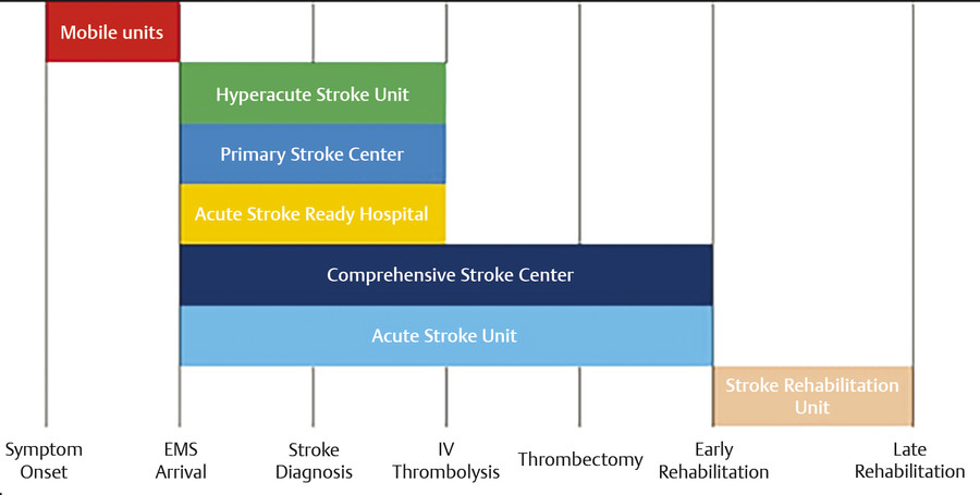 2 Intravenous Thrombolysis In Stroke. The Organization Of Stroke ...