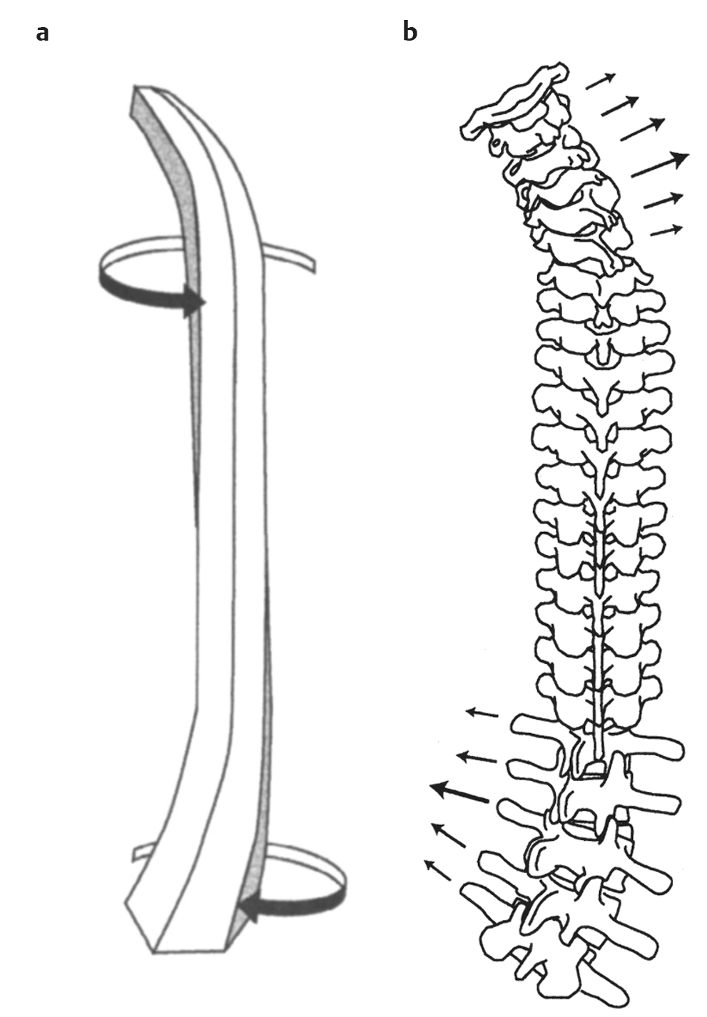 27 Deformity Prevention And Correction: Complex Clinical Strategies ...