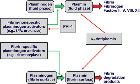 Fibrinolysis For Cerebral Ischemia | Neupsy Key