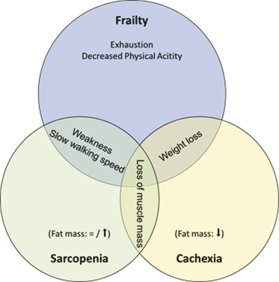 1 Assessing The Aging Patient | Neupsy Key