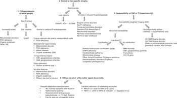 Chapter 4 – Imaging in Metabolic Movement Disorders | Neupsy Key