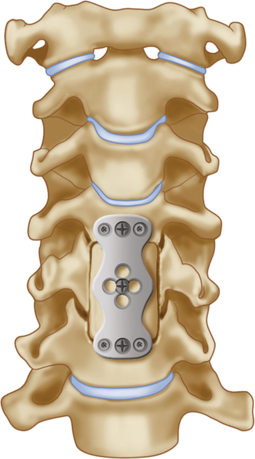 ../images/310119_2_En_12_Chapter/310119_2_En_12_Fig7_HTML.jpg