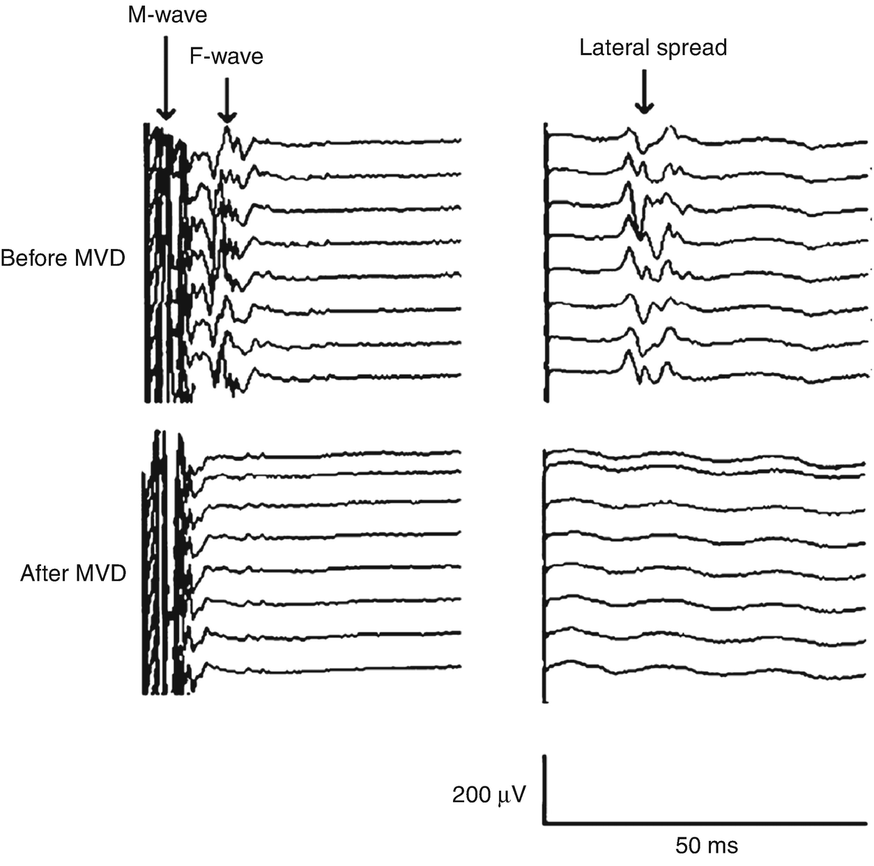 ../images/310119_2_En_14_Chapter/310119_2_En_14_Fig3_HTML.png