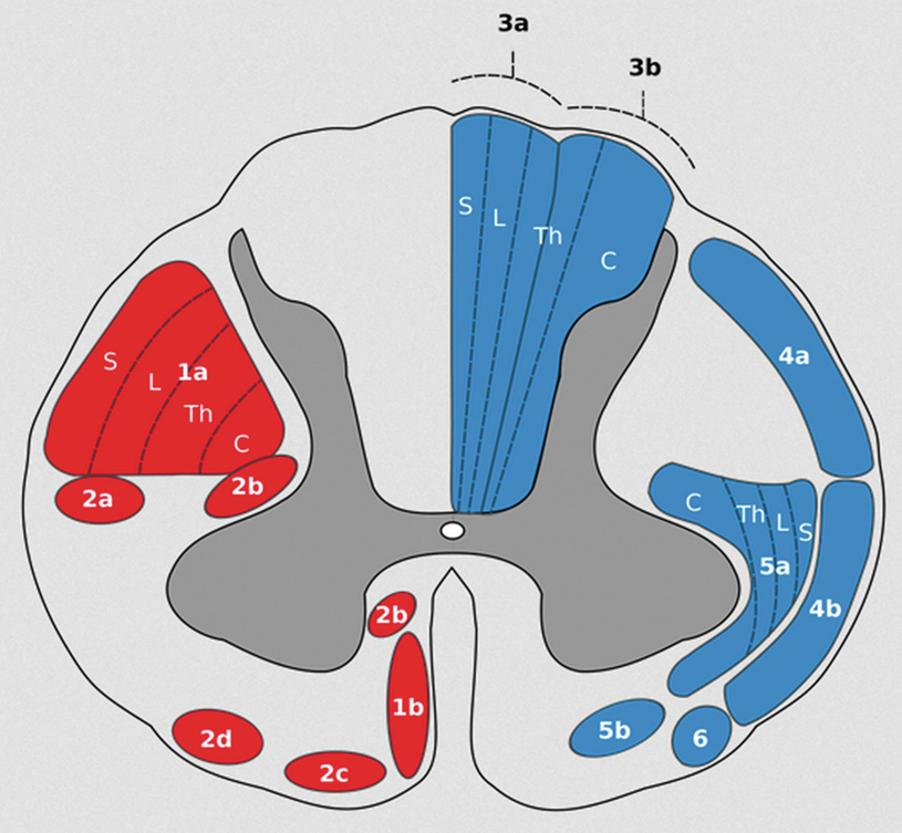 ../images/310119_2_En_7_Chapter/310119_2_En_7_Fig2_HTML.png