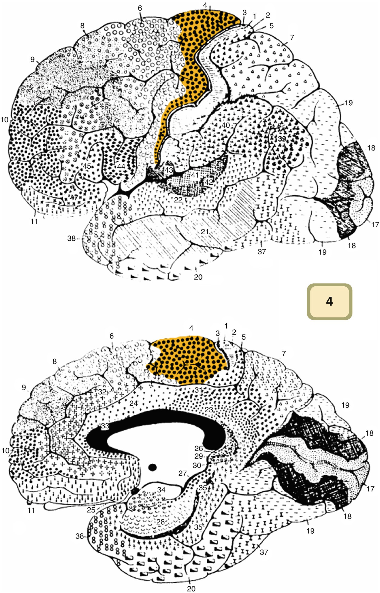 ../images/310119_2_En_7_Chapter/310119_2_En_7_Fig3_HTML.jpg