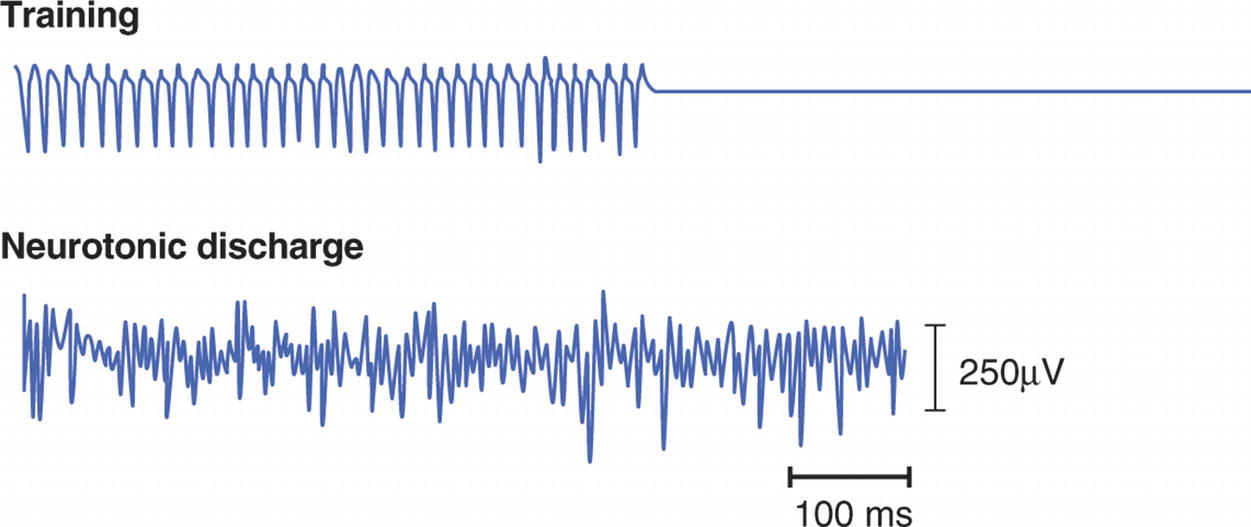 ../images/310119_2_En_8_Chapter/310119_2_En_8_Fig5_HTML.jpg