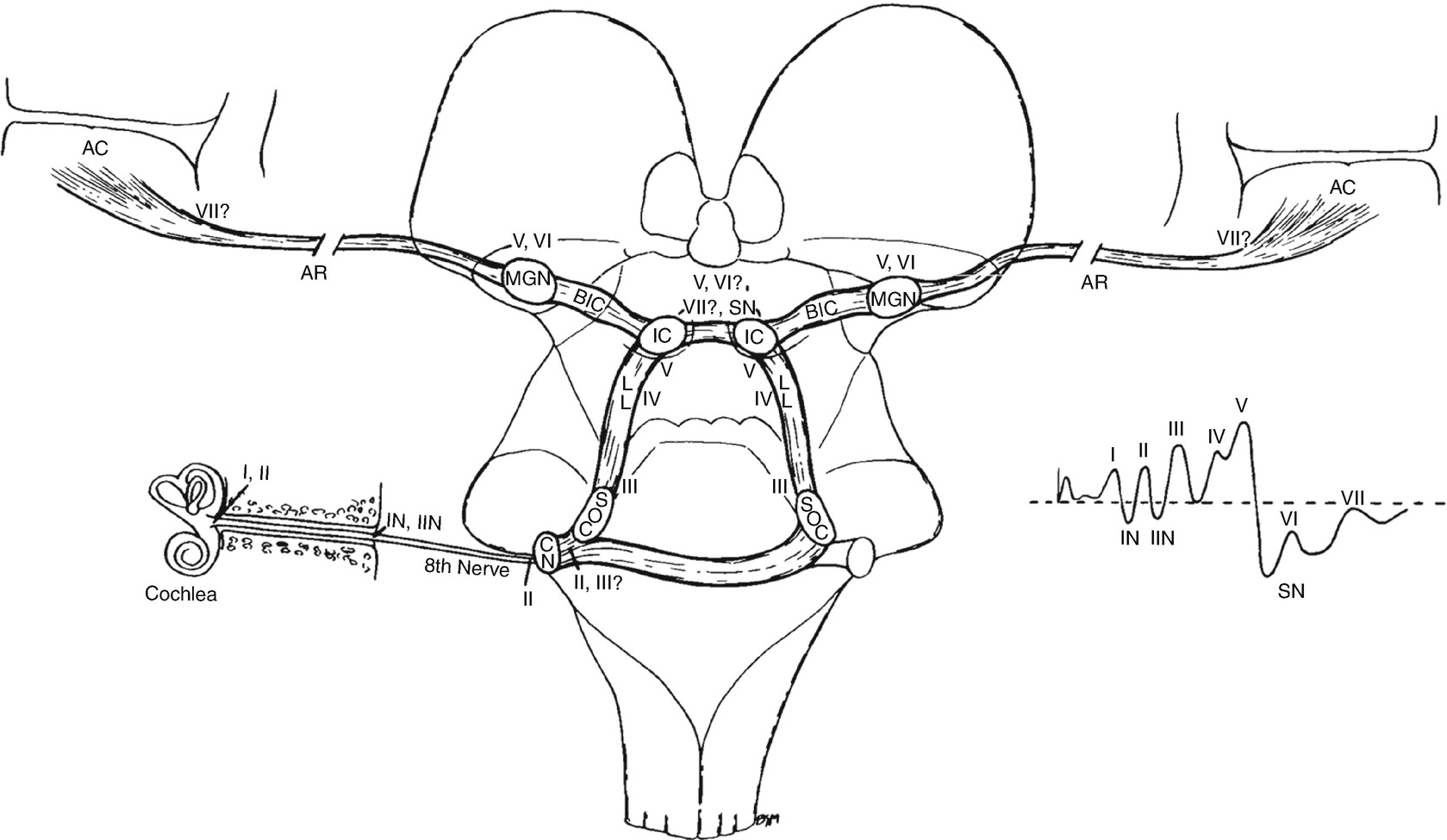 ../images/310119_2_En_9_Chapter/310119_2_En_9_Fig2_HTML.jpg