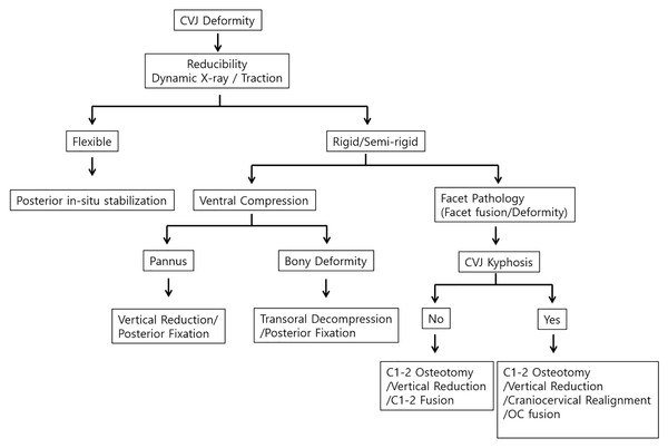 Algorithm shows decision-making pathways for the treatment of the CVJ deformity.