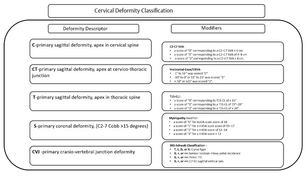 Cervical deformity classification. Modified from original.