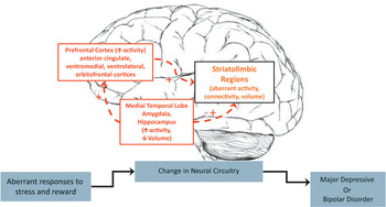 Chapter 4 – Neuroimaging Biomarkers in Pediatric Mood Disorders ...