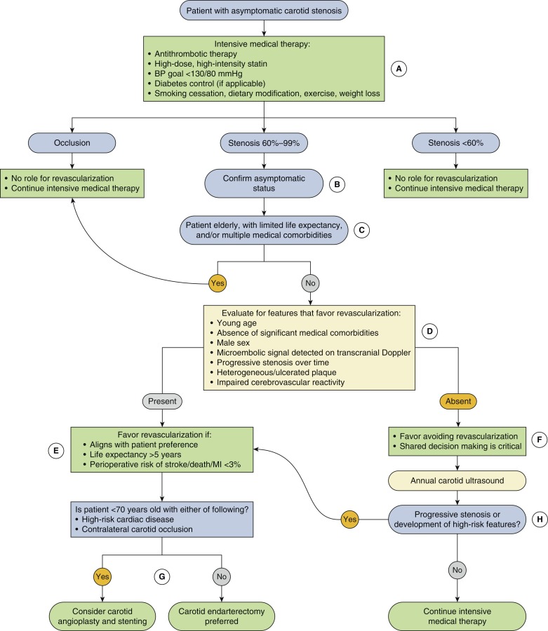 Asymptomatic Carotid Stenosis | Neupsy Key