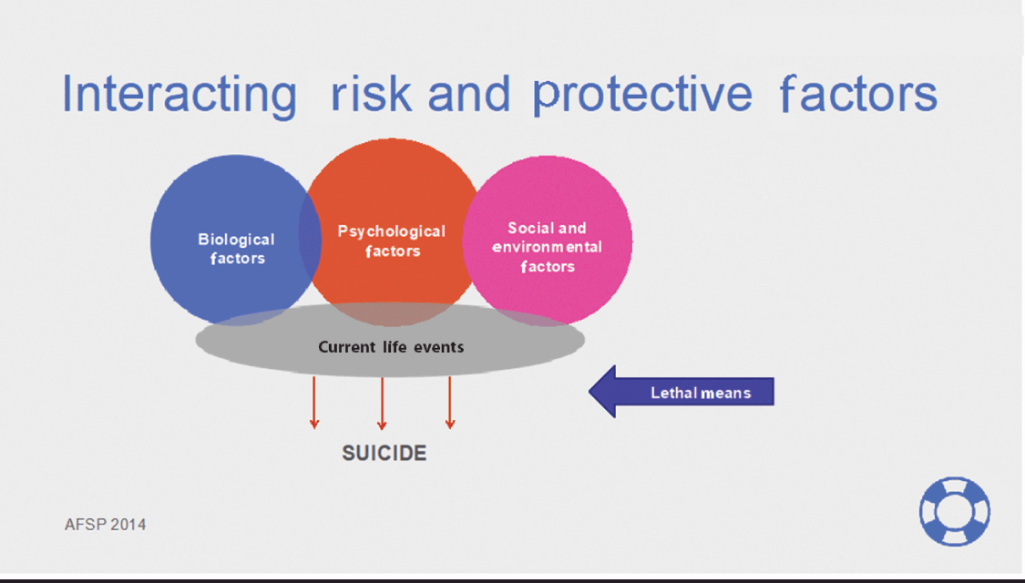 4 – Understanding Why: Drivers Of Suicide Risk | Neupsy Key