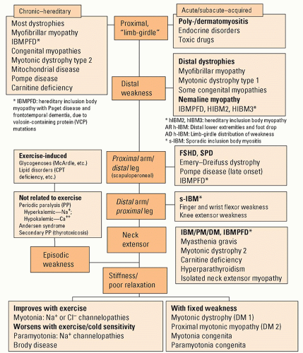 Neuromuscular Disorders | Neupsy Key