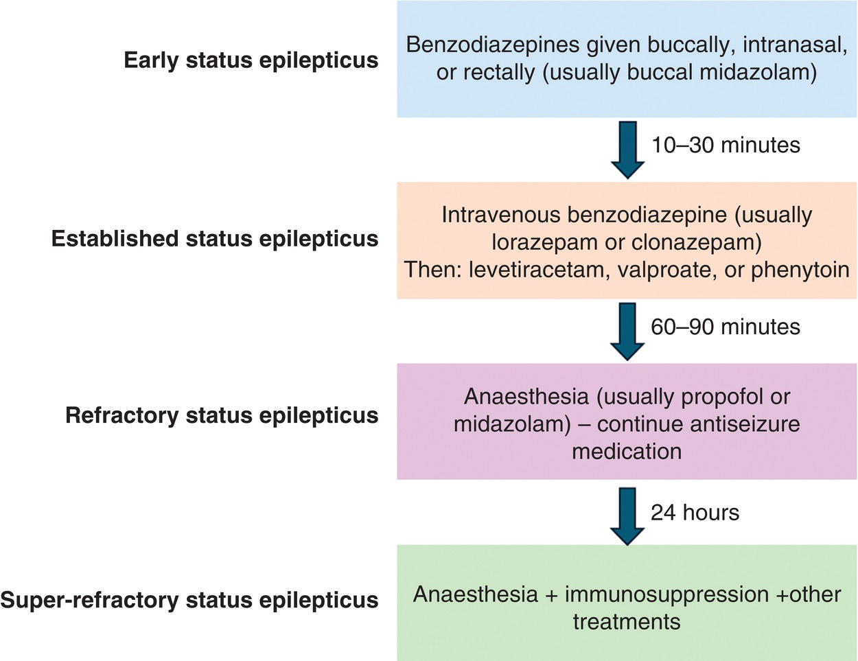A flowchart depicts status epilepticus treatment, including early, established, refractory, and super-refractory stages with corresponding treatments and timeframes.